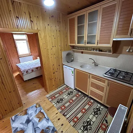 Apartment Guenes Uzungol